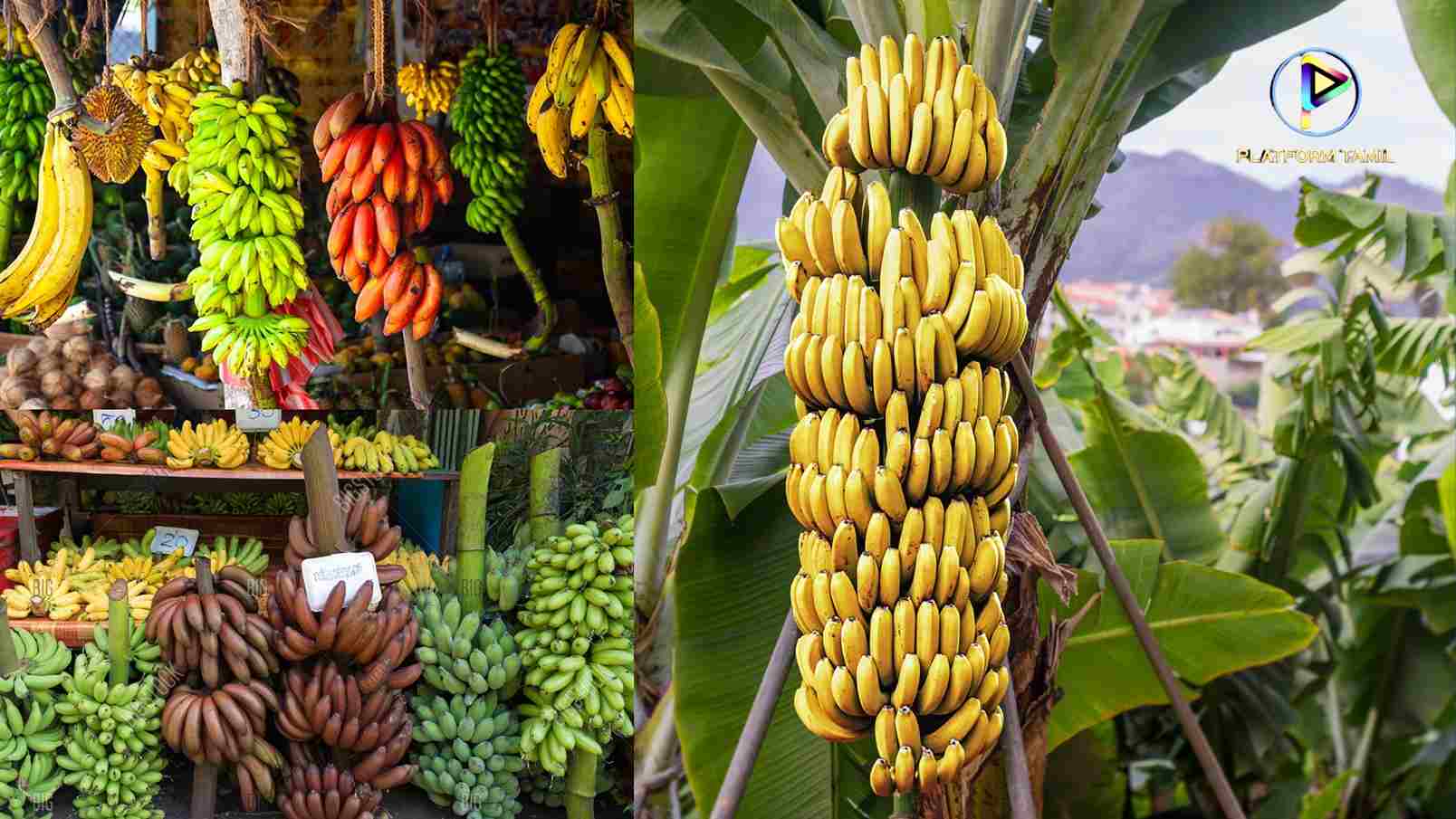 Banana Benefits - Platform Tamil