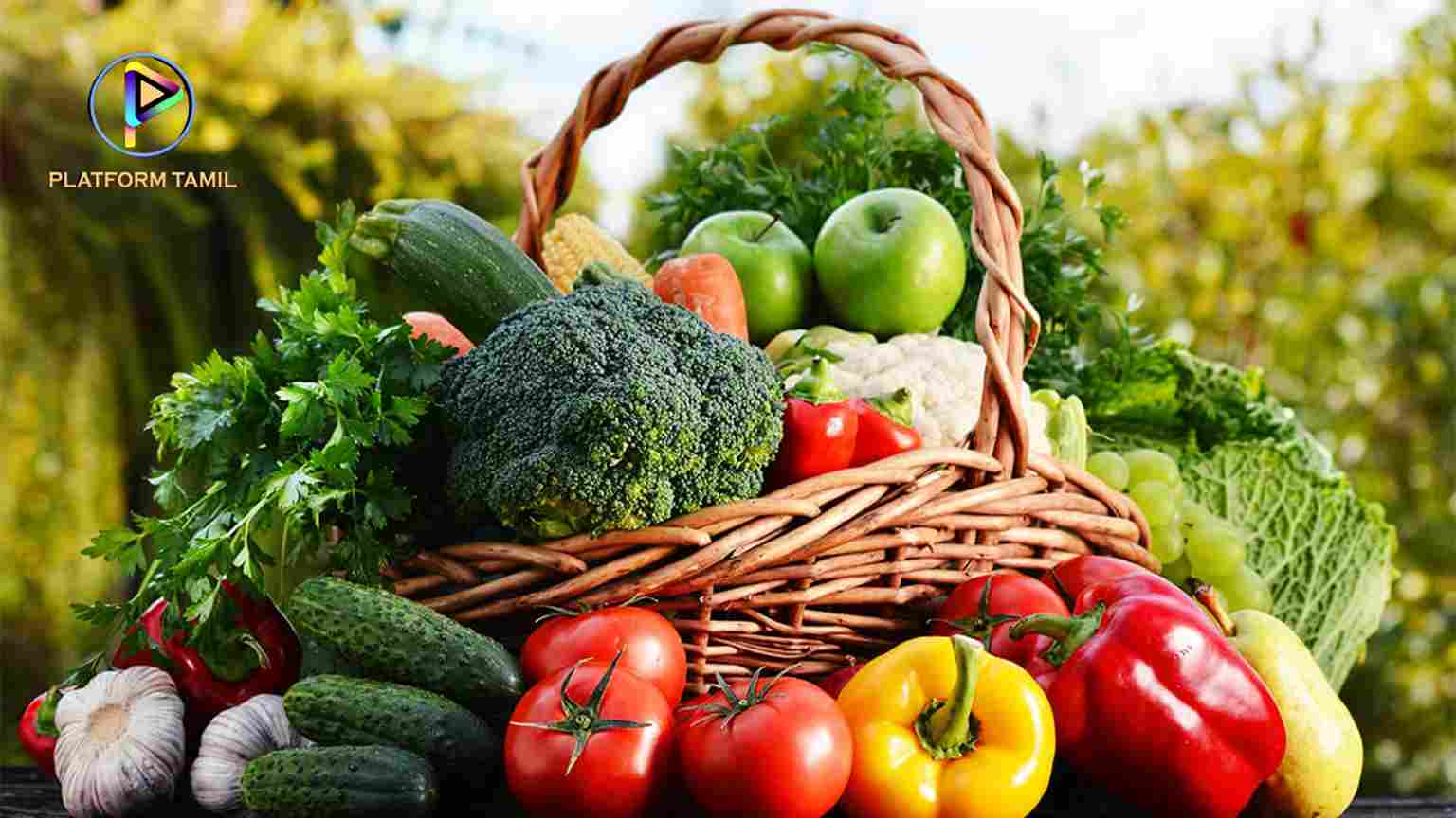 காய்கறி நன்மைகள் தீமைகள் - Vegetables Benefits in Tamil - Platform Tamil