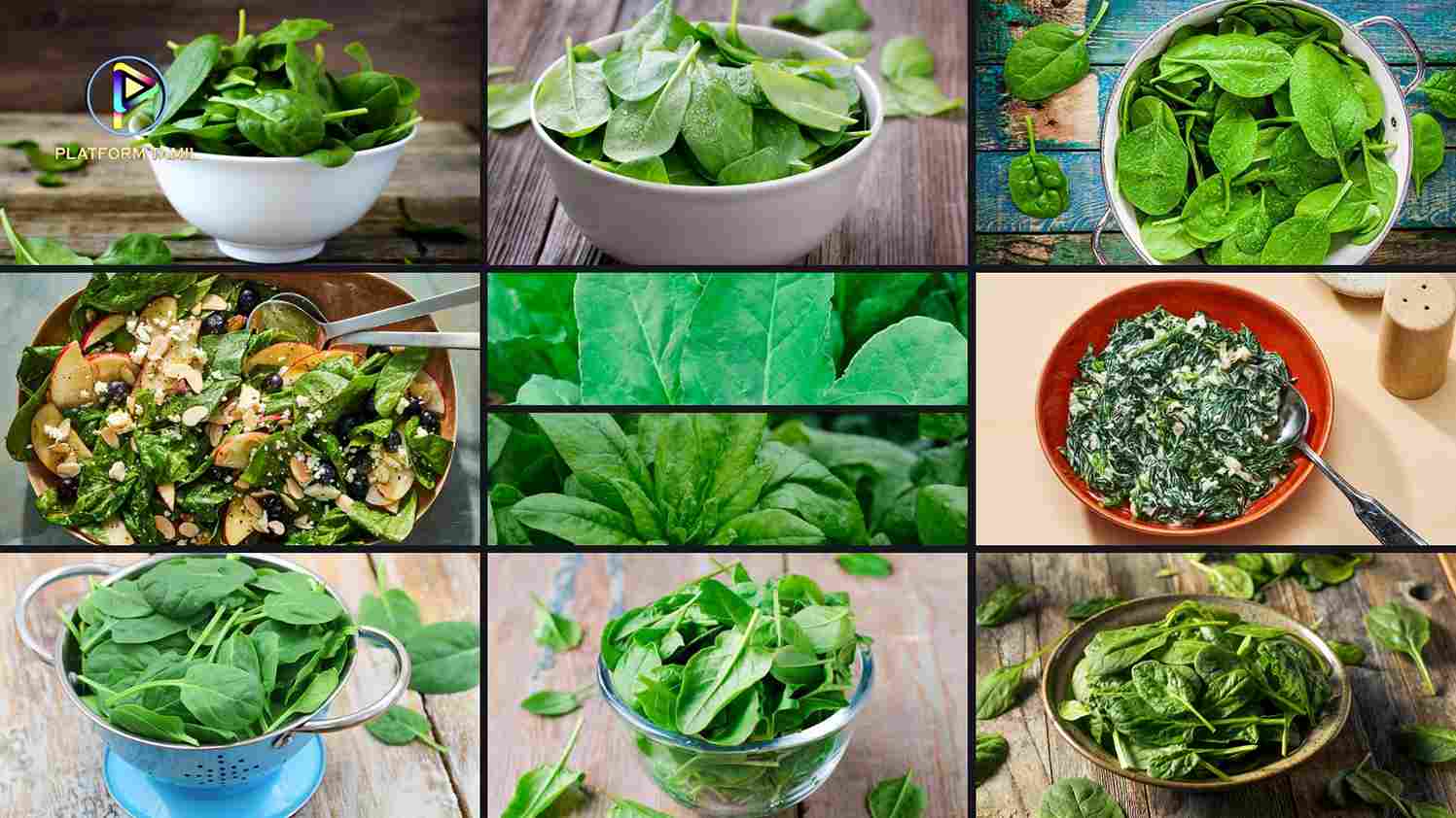 Benefits of Eating Spinach - Platform Tamil