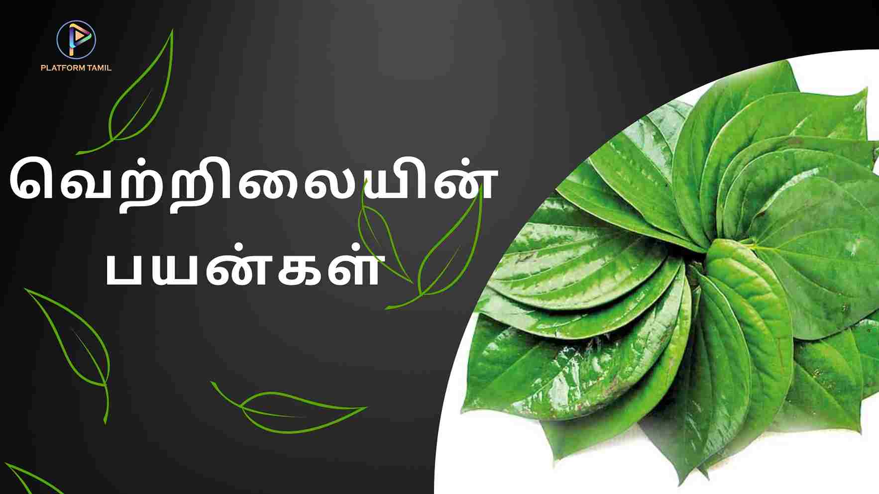 Betel Leaf in Tamil - Platform Tamil
