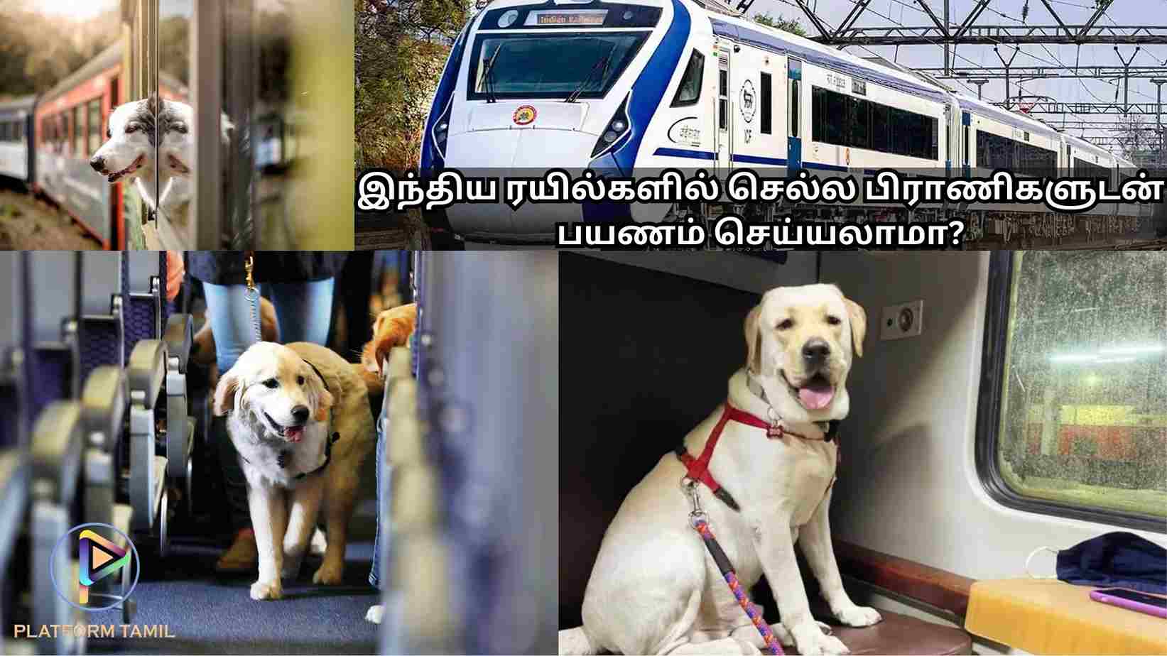 Pet Dogs in Trains - Platform Tamil