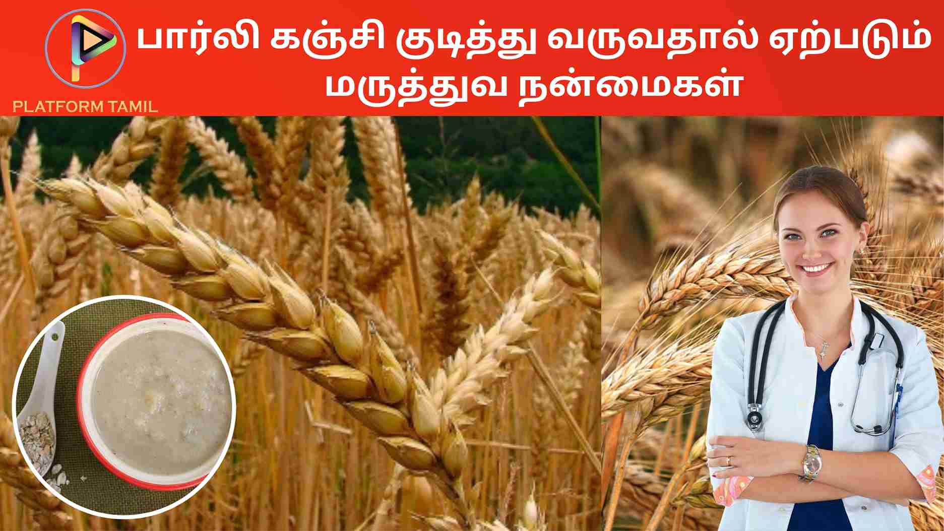 Barley Rice Benefits: பார்லி அரிசியின் 12 நன்மைகள் - Platform Tamil