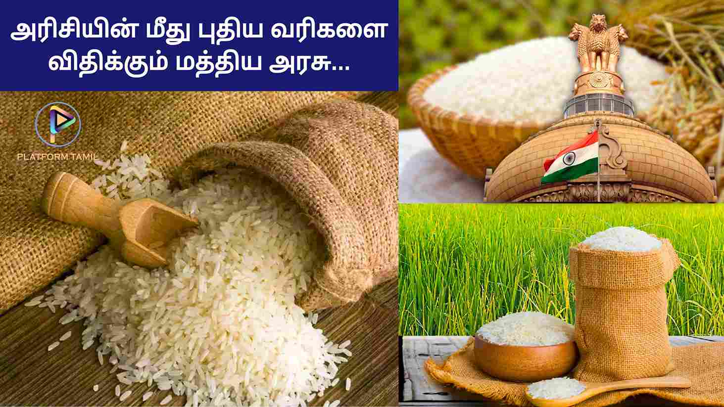 India Imposes 20% Export Duty On Rice - Platform Tamil