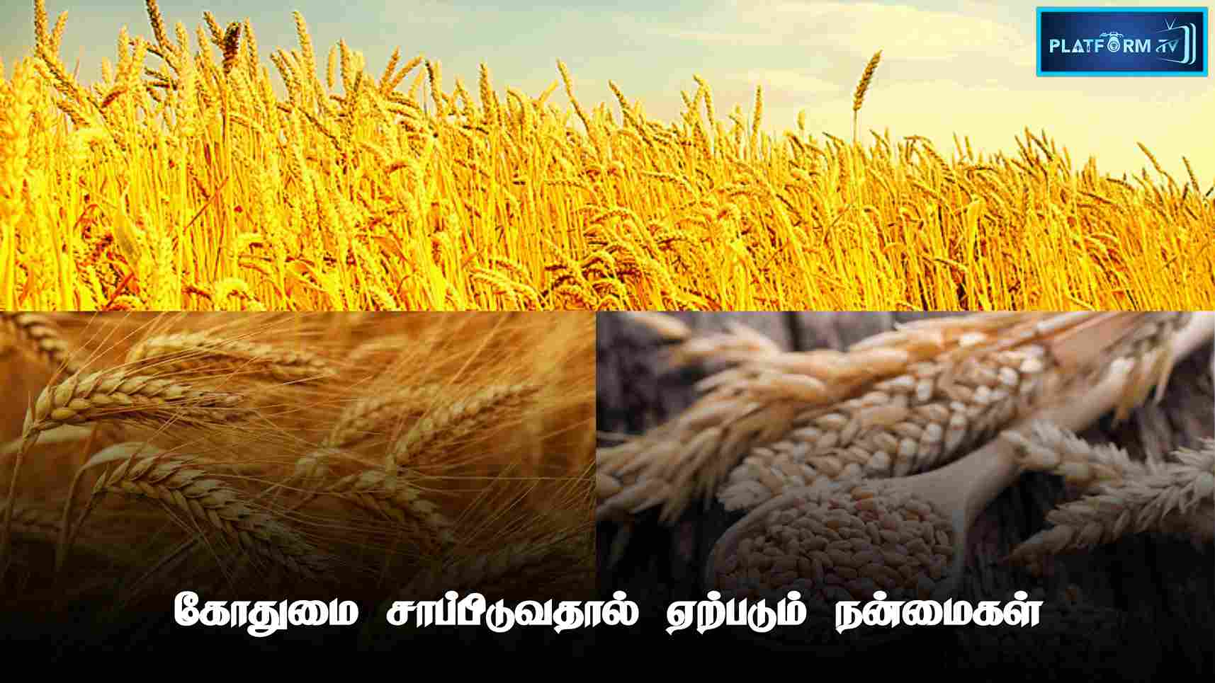 Wheat Flour - Platform Tamil