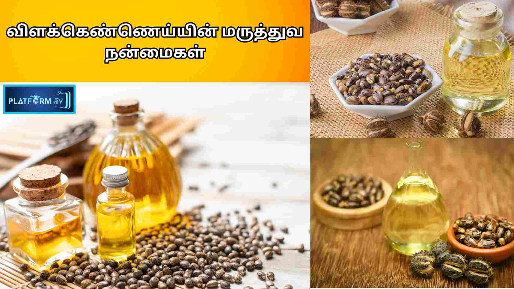 Castor Oil Benefits - Platform Tamil