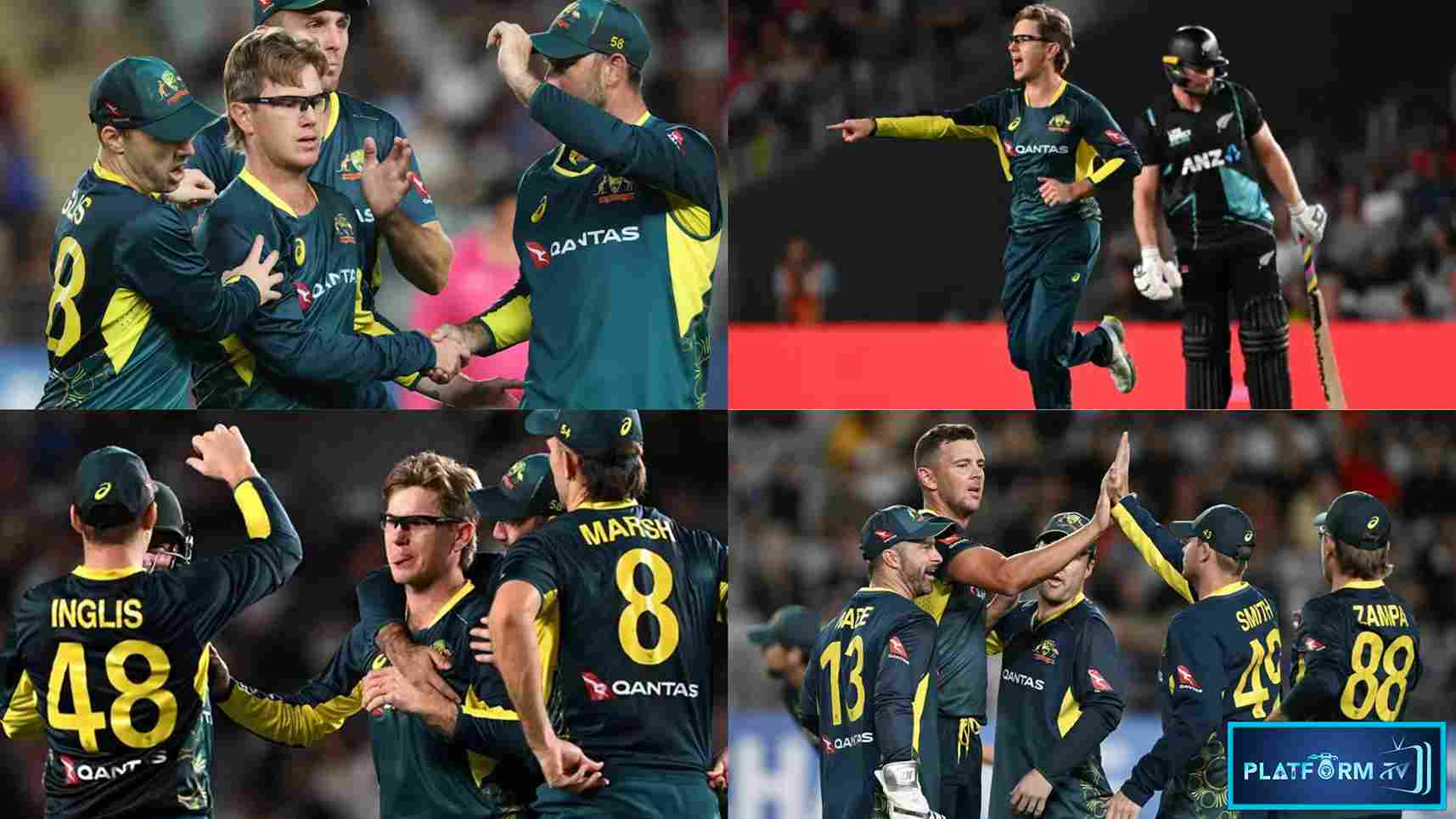 Australia Won The Series - Platform Tamil