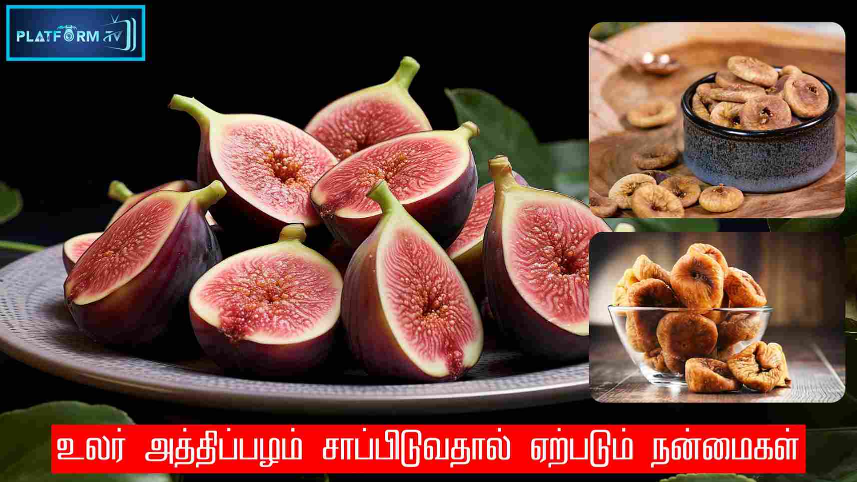 Fig Dry Fruit - Platform Tamil