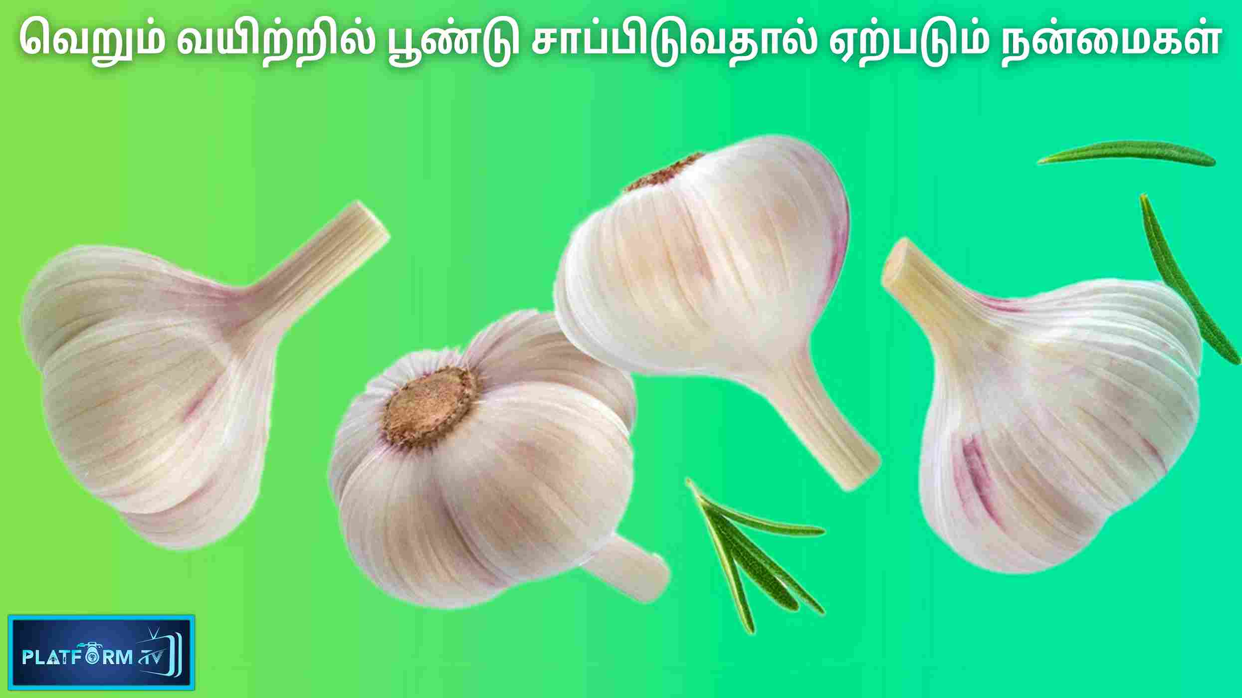 Garlic Benefits - Platform Tamil
