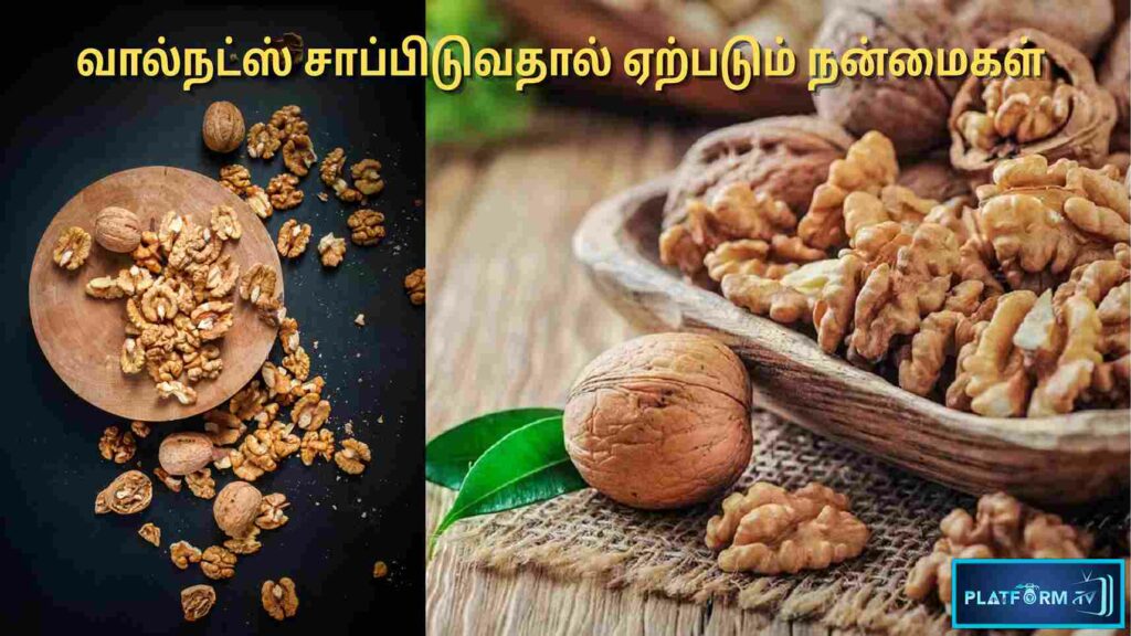 Benefits of Eating Walnuts : வால்நட்ஸ் சாப்பிடுவதால் ஏற்படும் நன்மைகள்