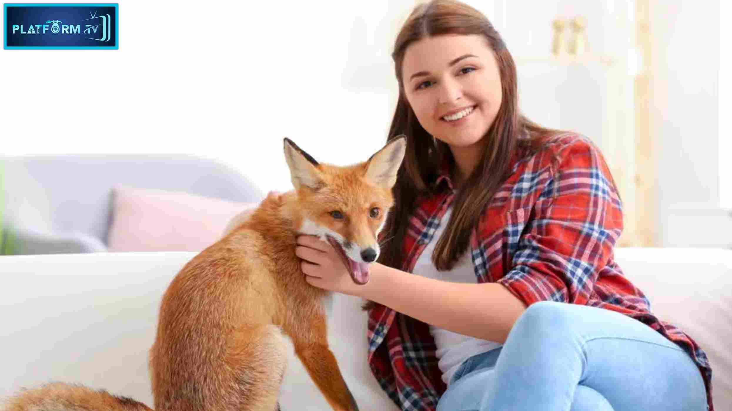 Foxes Were Kept As Pets - Platform Tamil