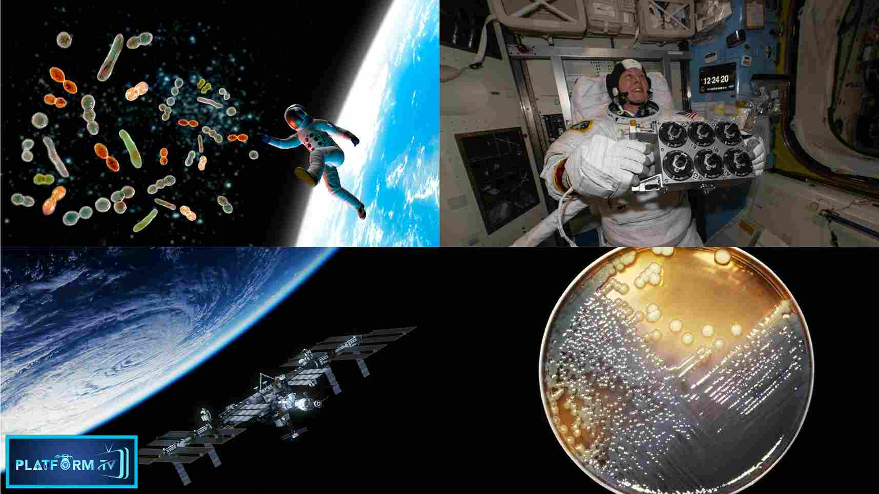 The Microbe Entered The ISS - Platform Tamil